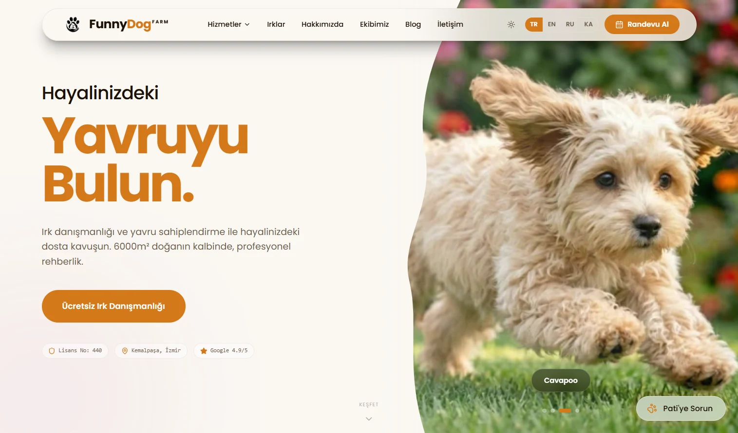FunnyDog Farm